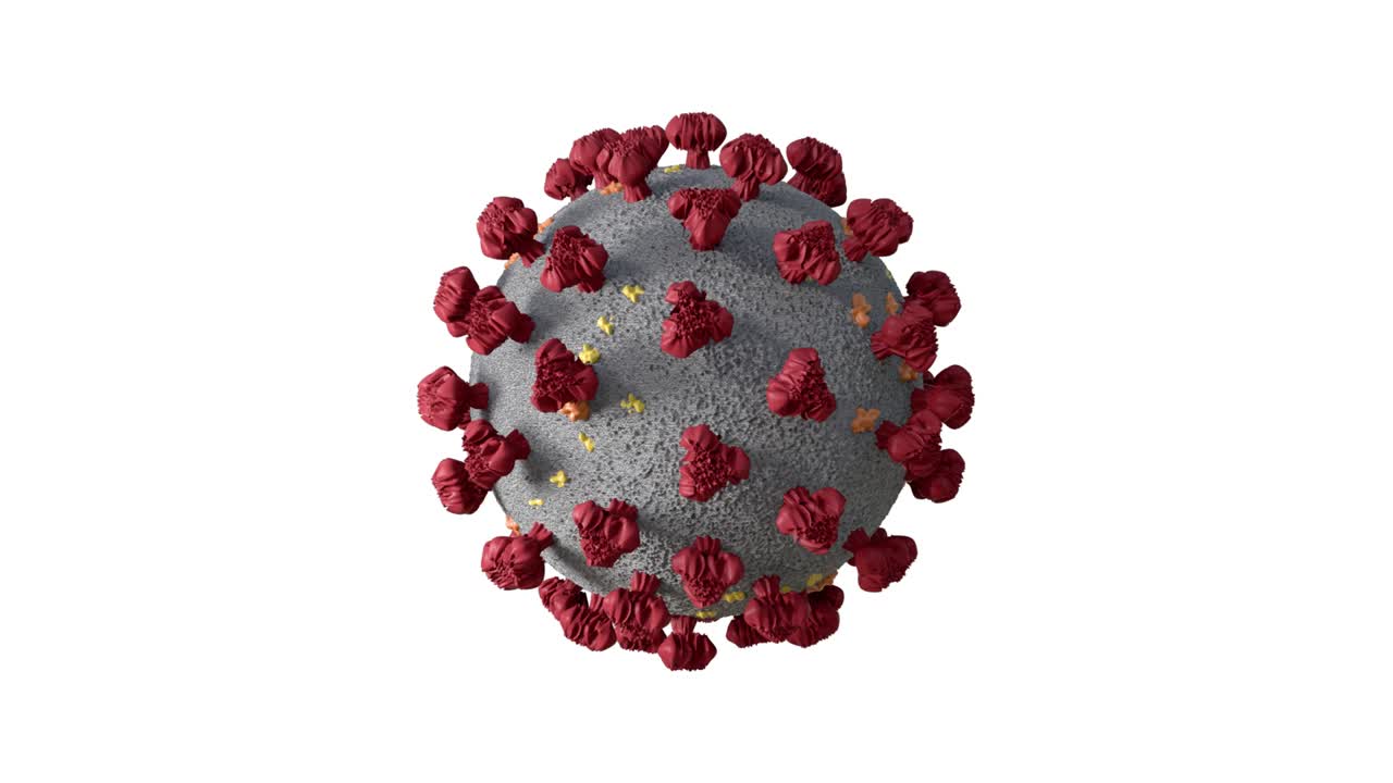 animación del virus covid-19 en bucle