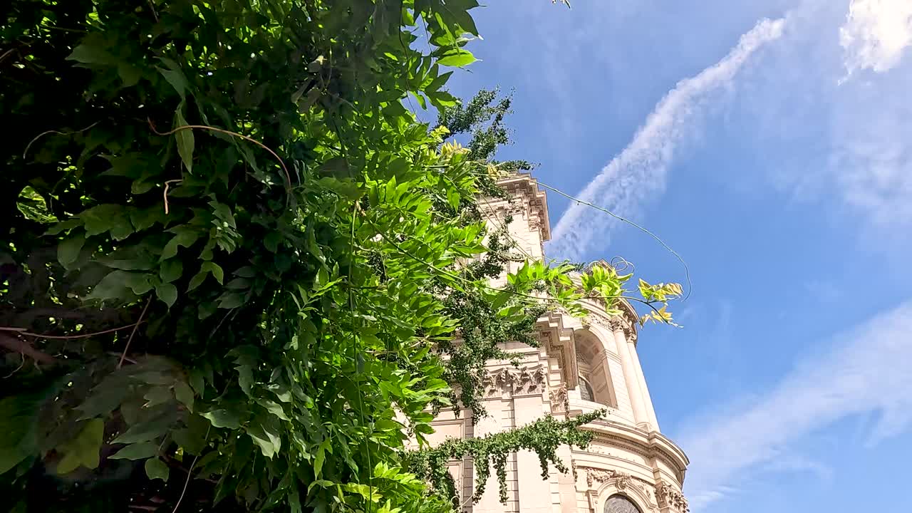 울창 한 초록색 잎 뒤 에 있는 대성당 탑 의 전망