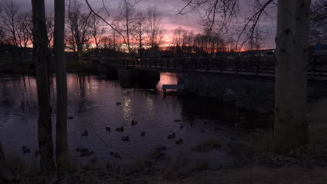 sunrise with ducks in lake next to bridge, pink sky