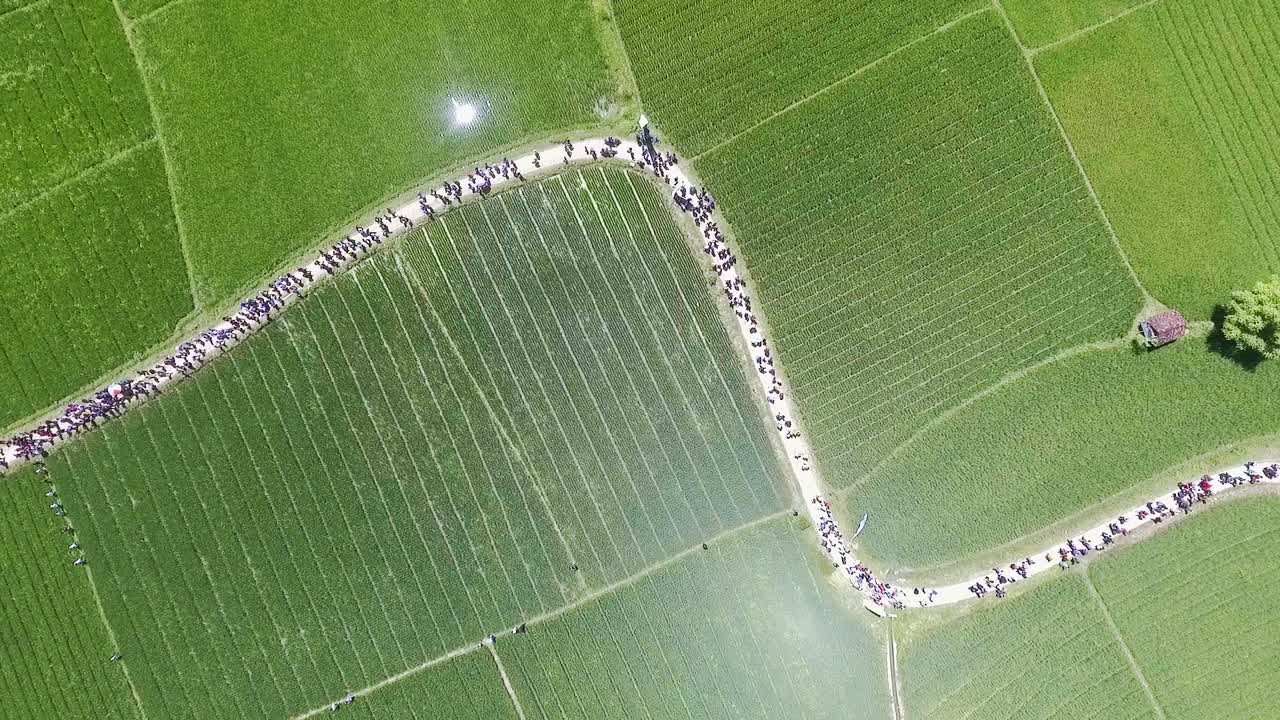 추수 축제로 가는 길에 논 한가운데를 걷는 사람들의 하향식 전망
