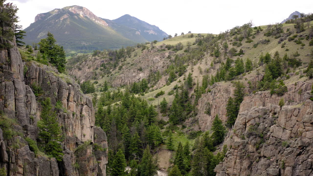 Scenic Mountain Valley and Rocky Cliffs with Pine Trees