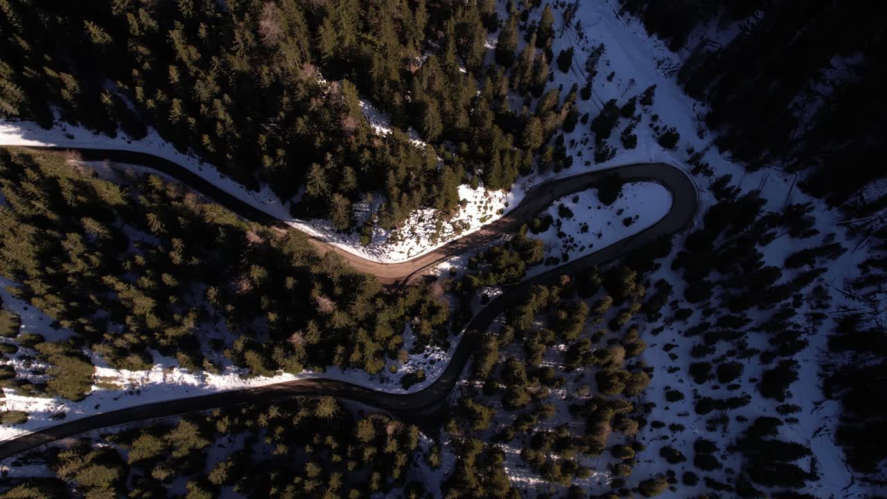 Top Down Aerial View of Winding Road and Pine Forest in Italian Dolomites on Sunny Spring Day, High Angle Drone Shot