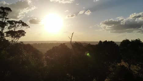 vuelo de drones sobre el paisaje interior australiano al atardecer, con árboles y nubes