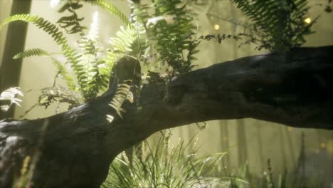 tronco del árbol doblado horizontalmente con helechos creciendo, y la luz del sol brillando