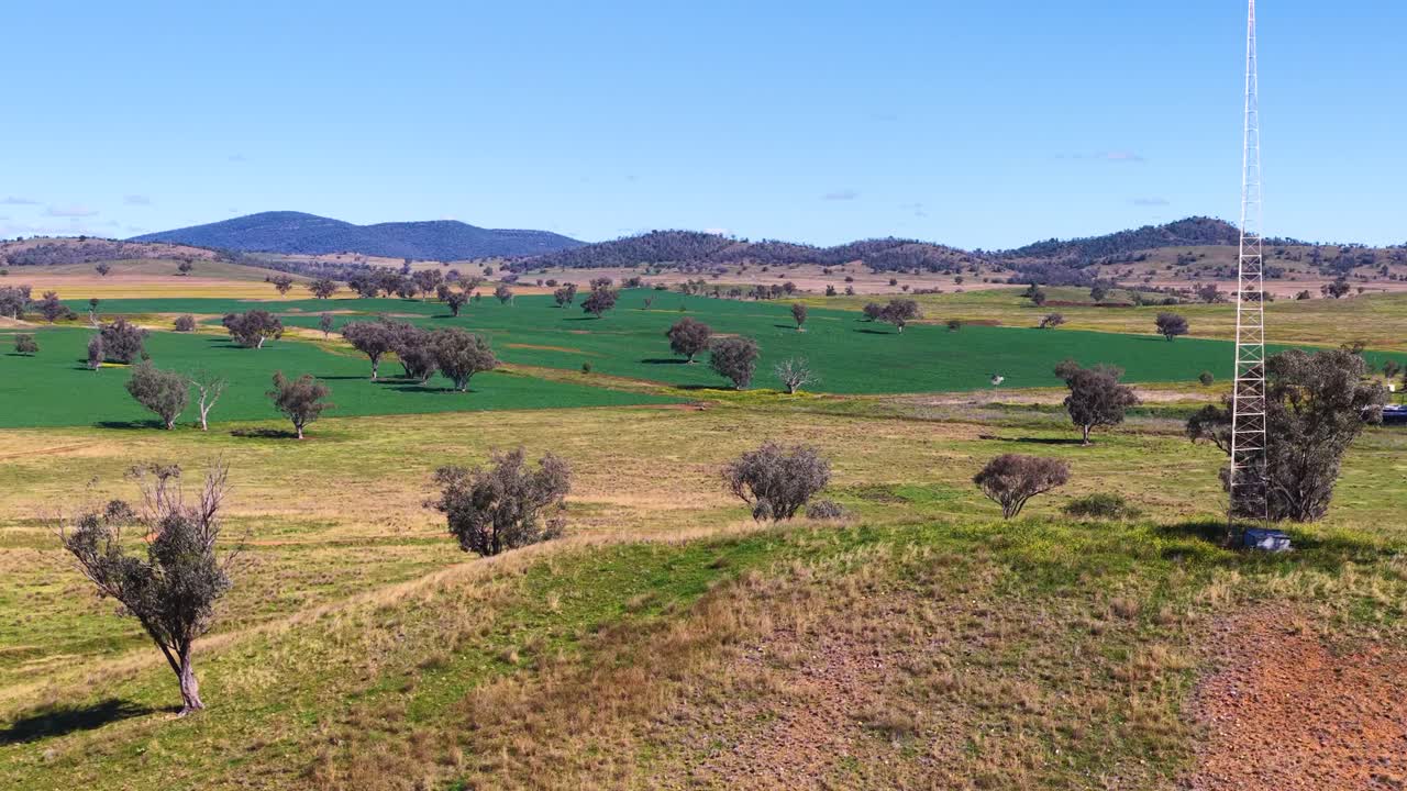 Drone camera smoothly ascends over a grassy hill, revealing scattered trees, green fields, and distant mountains under bright daylight in rural New South Wales
