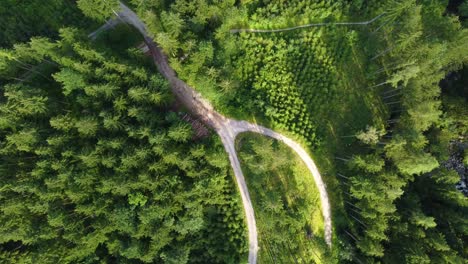 Top-down-aerial-shot-of-forest-path-road-with-chopped-wood-on-the-side,-ecology