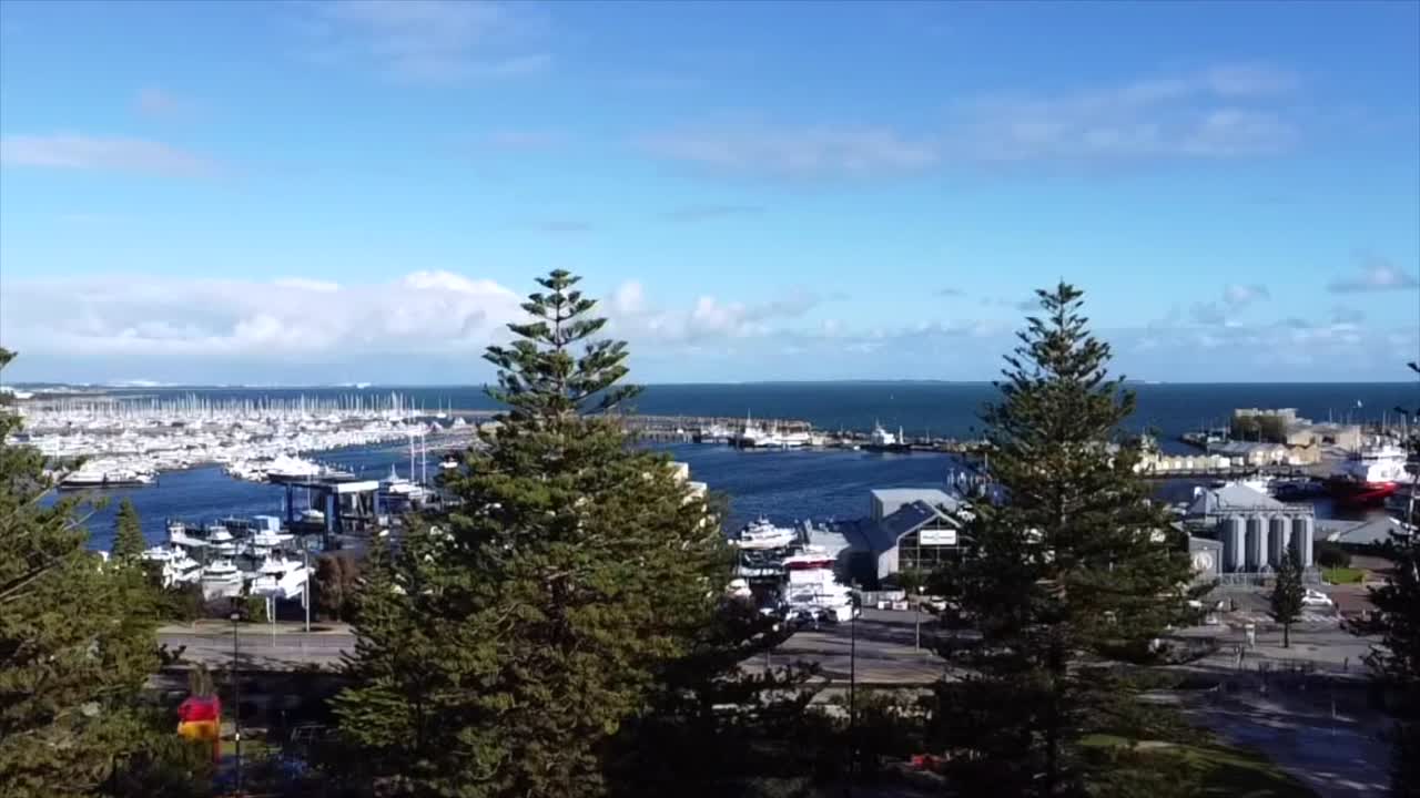 360도 회전 에 의한 공중 뷰 fremantle, 서부 오스트레일리아 fremantle  ⁇ 시 배 항구 를 볼 수 있는 소나무 위 를 날아다니는