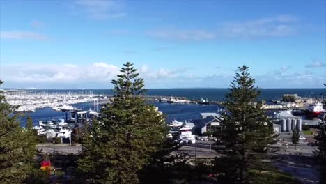 Vista-Aérea-Con-Rotación-De-360-Grados-Fremantle,-Australia-Occidental-Volando-Sobre-Pinos-Con-Vista-Al-Puerto-Pesquero-De-Fremantle