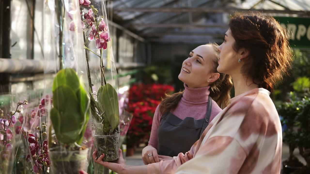 joven florista sonriente en delantal ayudando a una cliente femenina a elegir una maceta con flor de orquídea. mujer joven examina cuidadosamente la flor. disparo en cámara lenta
