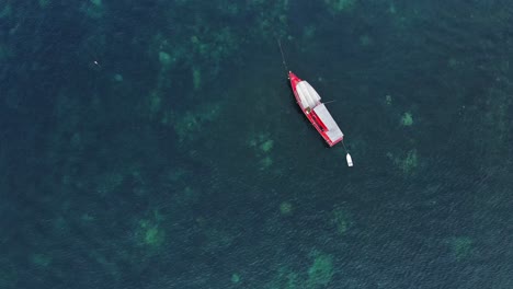 top down drone shot of a red boat in thailand with coral under the water