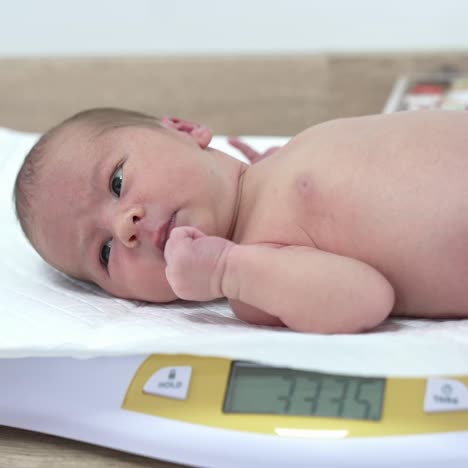 naked child lying on the electronic scales and hiccupping. cute newborn baby being weighed in maternity unit in the hospital