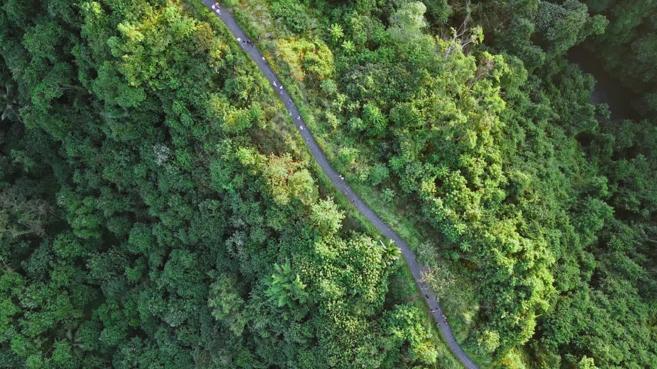 vista desde arriba de un avión no tripulado de un parque de caminata de campuhan ridge en bali