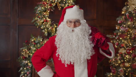 santa claus portrait with gift bag