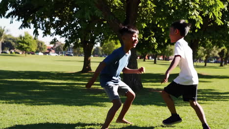 young boys playfully wrestling in a sunny park