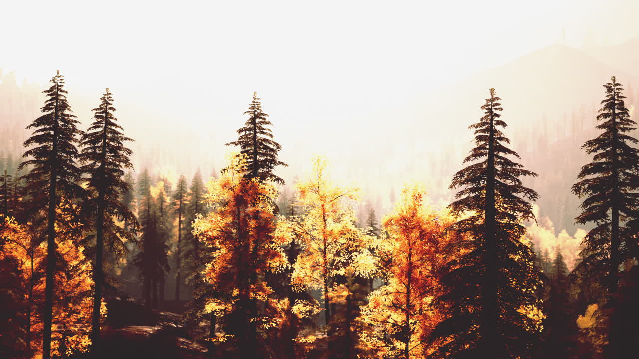 황금 잎 을 가진 가을 의 숲 풍경