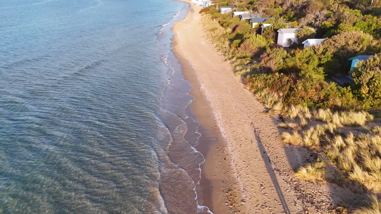 A woman and her dog walk peacefully by colorful beach huts on a sandy shoreline