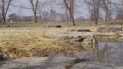 Gänseschwarm-In-Der-Nähe-Eines-Teiches-In-Einem-Park