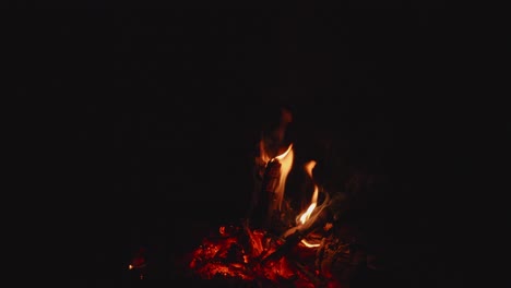 bonfire smolders in the dark forest