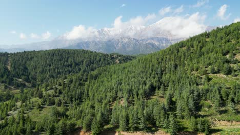 nel grembo della natura