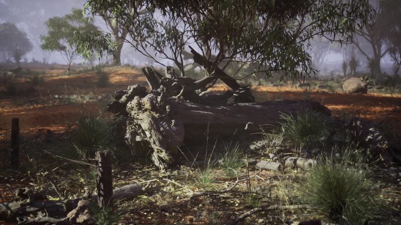 Dappled morning landscape featuring solitary ranger and sunlit foliage