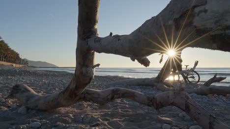 View-through-dead-branches-of-traveler-with-bicycle-walking-along-wild-and-rocky-seaside-in-a-early-morning