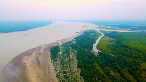 aerial view of sundarban mangrove forest coast with river delta. drone flying top shot