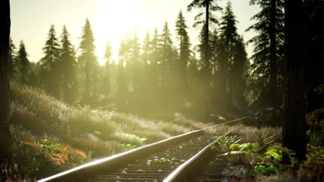 Herbstfarben-Entlang-Einer-Bahnstrecke-Bei-Sonnenuntergang