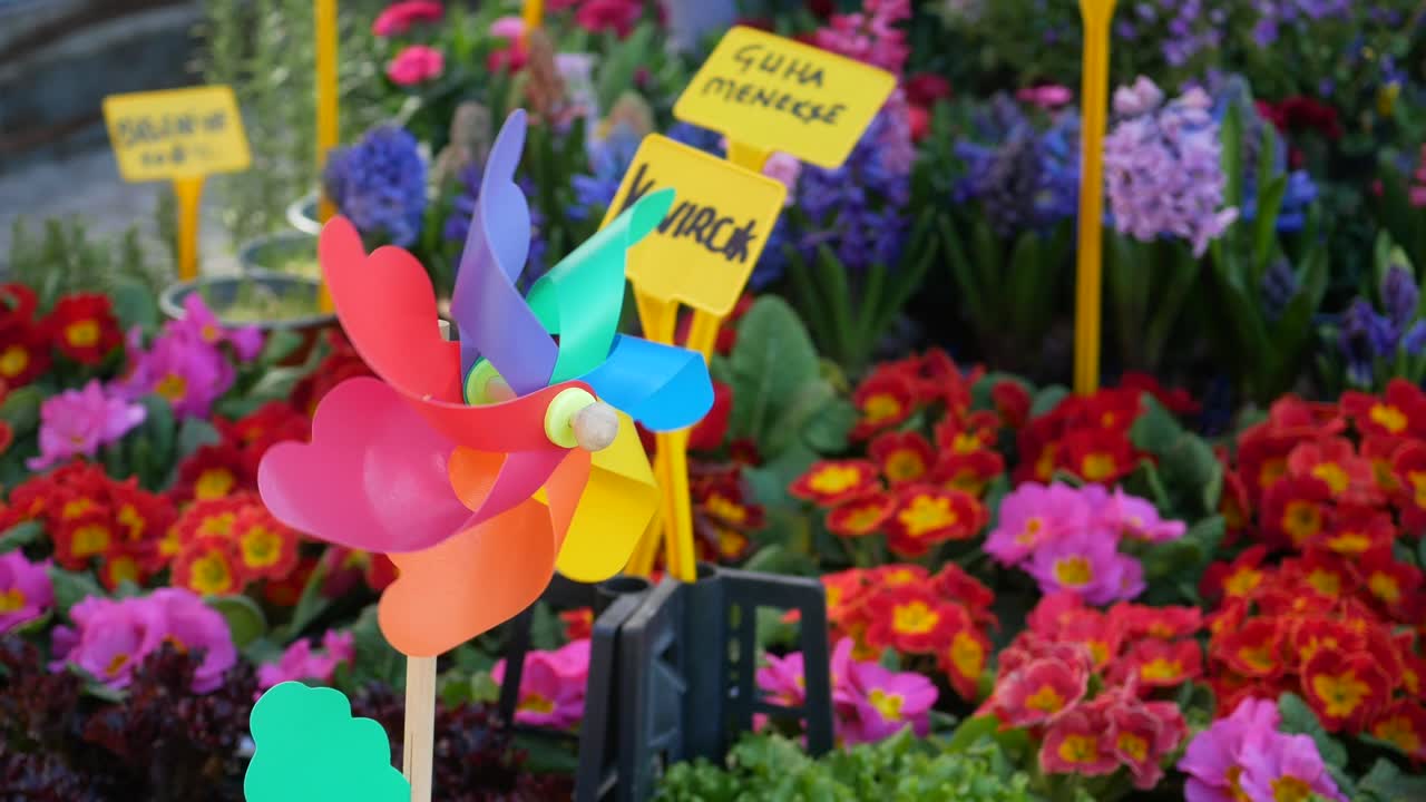 Colorful Flower Market with Windmills