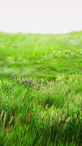 green field with flowers