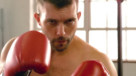 fit man boxing at camera in gym