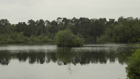 Schöne-Und-Beruhigende-Landschaft-Am-See-Im-Wald-Europa