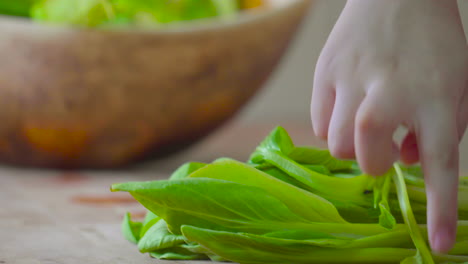 close up of young girls hands washing and preparing greens for eating vegetables in the kitchen