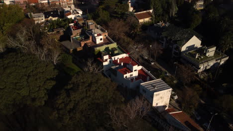 top view of the neighborhood, calm residential area in buenos aires, low minimalist houses