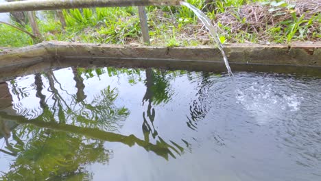 water falling into the fish tank to oxygenate the tank