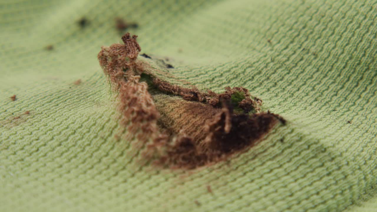 Detail špinavého zeleného hadříku s hnědou skvrnou