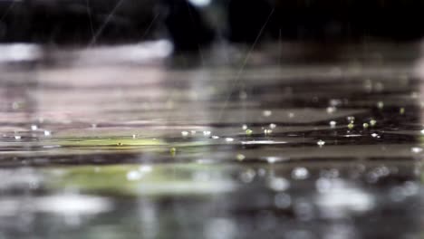 close up video footage of rain drops falling down water surface of marble surface splashing with ripple during heavy raindrop, wet rainy weather nature background, audio included