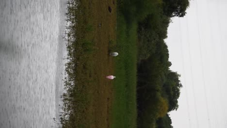 vertical mobile shot of an egret and a roseate spoonbill in the arizona monsoon rain