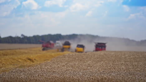 Agricultural machinery for harvesting grain in action. Harvesting season