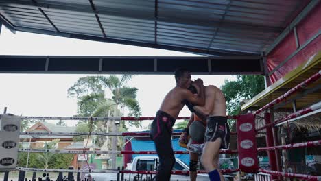 muay thai fighters training in the ring