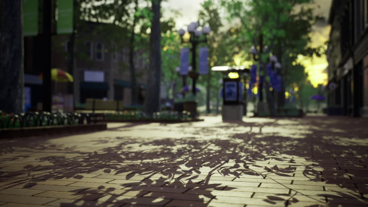 Sunset casts vibrant shadows in a peaceful urban park setting