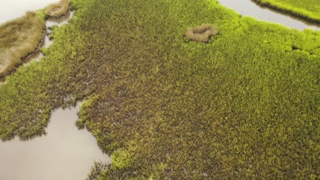 Slow-flying-over-the-marsh-at-Oak-Island-North-Carolina