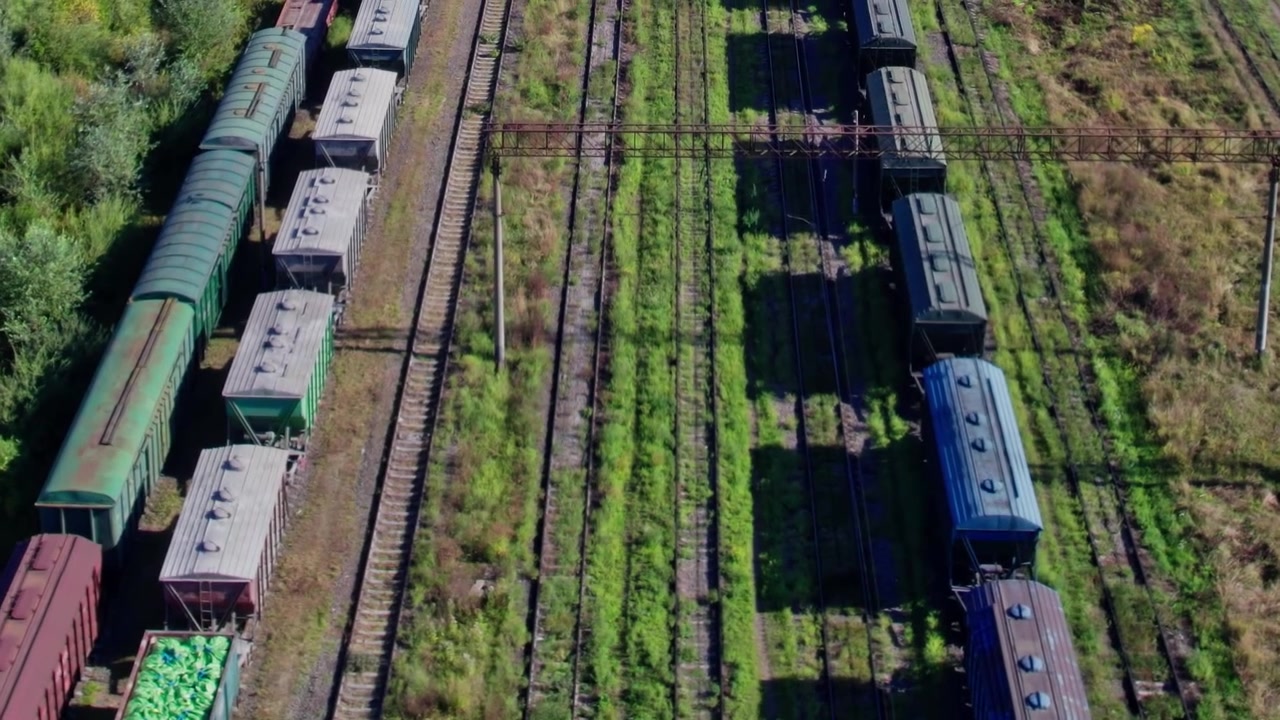 Vagoni ferroviari sui binari con erba incolta in un deposito ferroviario.