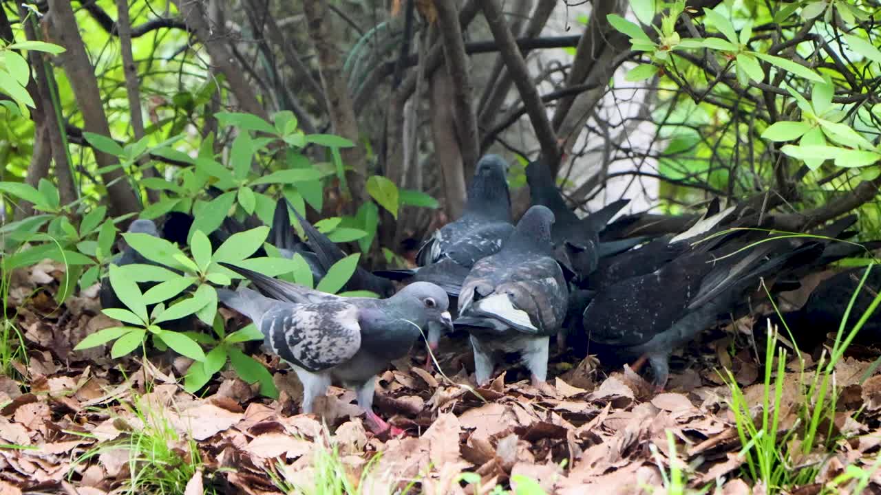 도쿄 최고의 전망