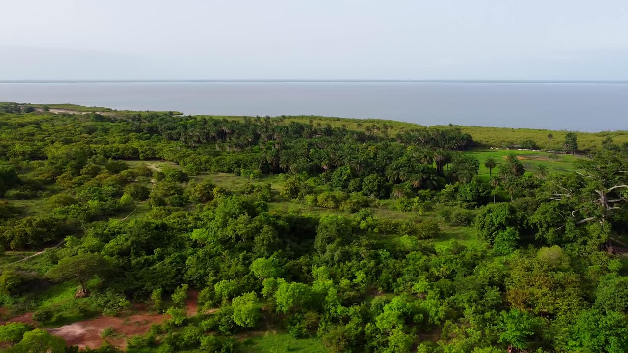 Panoramic view of African rural forested village with tarmac road next to the coast in The Gambia