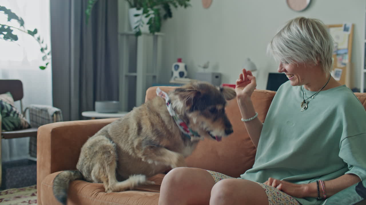 Young Joyful Woman Sitting on Sofa and Petting Playful Dog at Home