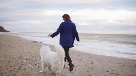 Rückansicht-Einer-Attraktiven-Jungen-Frau,-Die-Mit-Ihren-Hunden-Der-Samojeden-Rasse-Am-Meer-Läuft.-Weißes,-Flauschiges-Haustier-Am-Strand