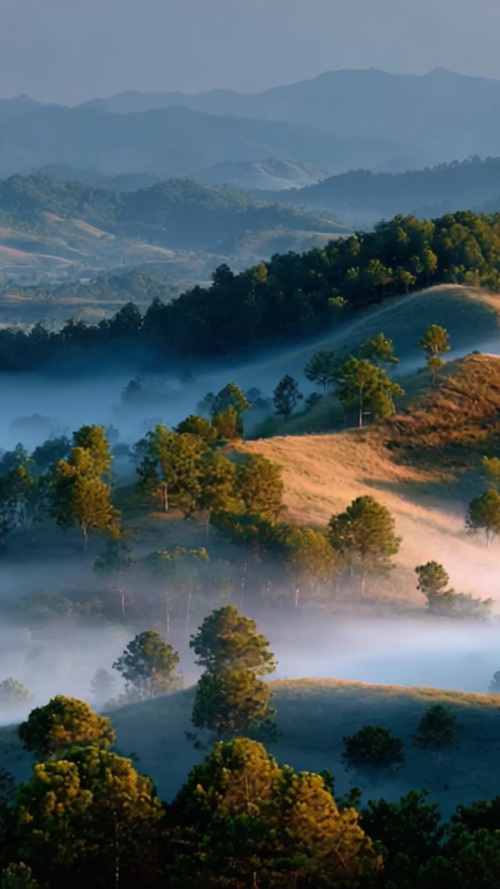 Serene Morning in the Hills: A Breathtaking View of Mist-Covered Mountains and Rolling Green Pastures Illuminated by the Sun's Early Light