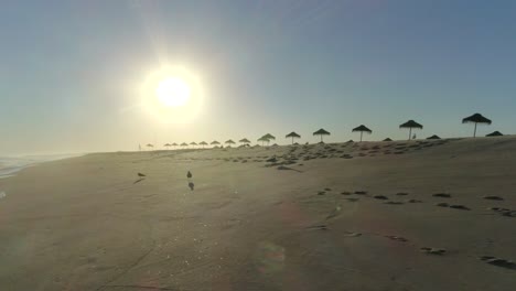 Drone-flies-low-altitude-over-the-incredible-beach-with-calm-waves-and-seagulls-flying-in-front-of-the-lens,-aerial