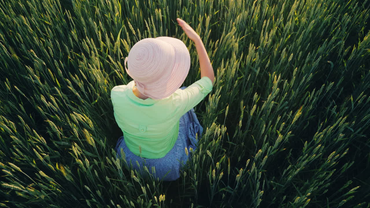농부가 푸른 밀의 창을 부드럽게 쓰다듬는다