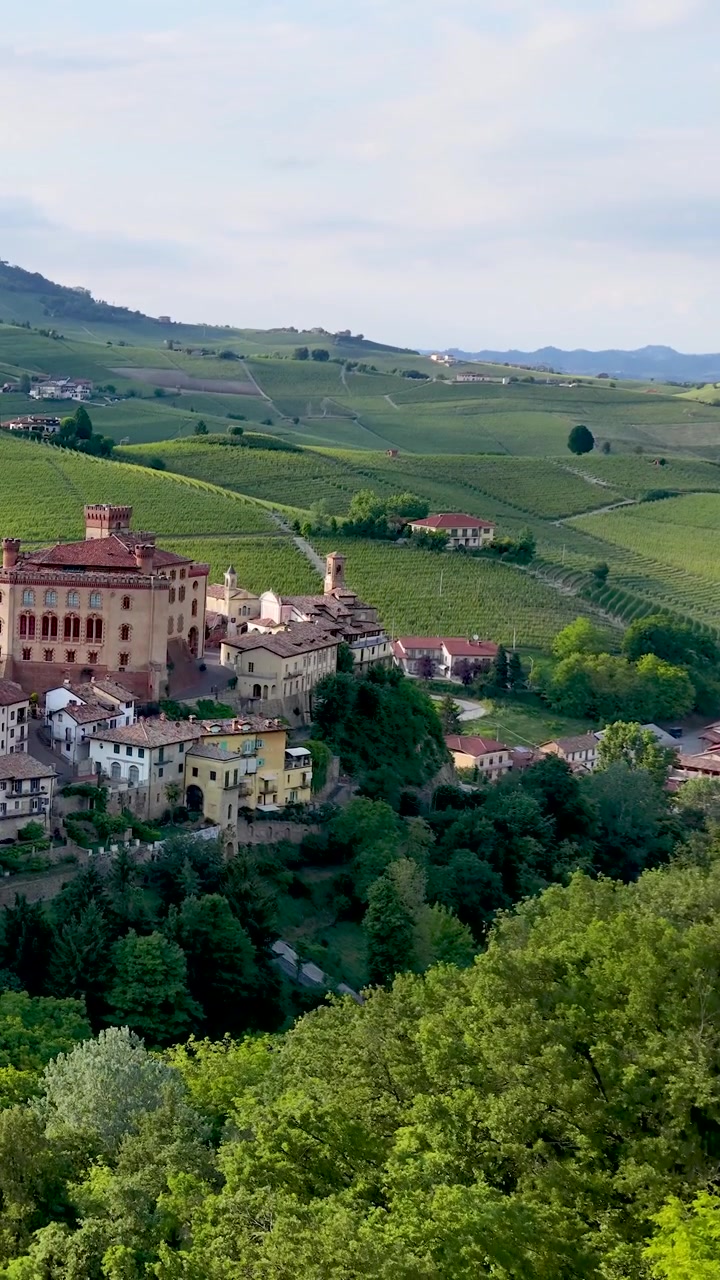 Una ripresa aerea dall'alto cattura uno storico villaggio italiano e un castello tra dolci vigneti.